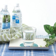 藤里開発公社 秋田県 ミネラルウォーター 白神山水〔500ml×24本×2箱〕