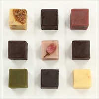 匠あんこ堂 ヨーカン・オ・ショコラ&フロマージュ ミニ羊羹〔ショコラ7種・フロマージュ2種 各33g〕一口羊羹 スイーツ