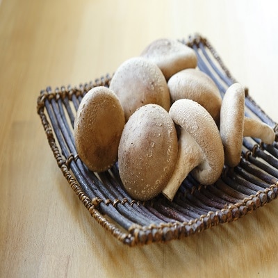 肉厚生椎茸セット 秀15枚入り 農事組合法人サンエスファーム 長崎県 自然豊かな南島原で育った安全・安心のこだわり椎茸。