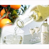 みかんワインKiyomiとケーキセット 〔みかんワインKiyomi360ml、みかんワインケーキ約350g〕 広島県 ワイン 洋菓子 瀬戸内土産 きたたに