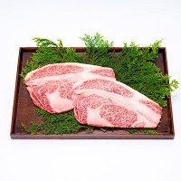 吟醸牛 リブロースステーキ〔300g×2枚〕 福井県　トキノ屋食品