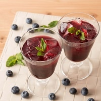 摘みたてブルーベリー 10本セット アグリネット琴浦 鳥取県〔180ml×10〕【北海道・沖縄・離島 お届け不可】