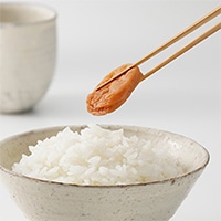 紀州南高梅 種ぬき梅〔400g〕