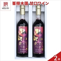熊本 峯樹木園 桑の実ワイン 甘口 ギフトセット 〔500ml×2〕ワイン 国産