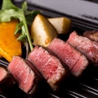 鳥取和牛オレイン55 シャトーブリアンヒレステーキ 100g5枚セット 〔100g×5〕 牛肉 国産