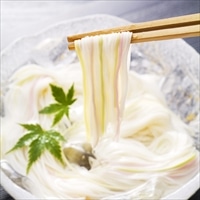 手延五色そうめん 6kg 〔50g×120〕 素麺 五色そうめん