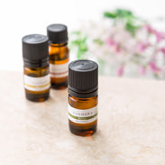 kyonoka 杉 株式会社K・Kファーム 京都府 森林浴効果「フィトンチッド」を発する北山杉の葉から抽出した精油を、京北の里よりお届け