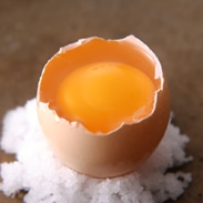 純種烏骨鶏卵化粧箱〔10個〕