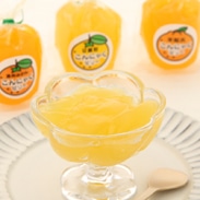 こんにゃくゼリー〔温州みかん、甘夏、不知火(各4個)〕