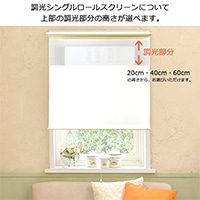 ロールスクリーン シングル プル式 ルミエール〔幅900mm×高さ190mm 〕