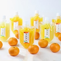 旬のちゅうちゅうゼリーきまぐれセット〔175g×10個 ※ゼリー銘柄はおまかせ〕