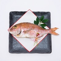 蒸し焼き鯛 鯛めしセット〔蒸し焼き鯛650g×1尾・鯛めし250g×1個・鯛みそ160g×1個〕