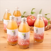 RICH APPLE 酸化防止剤不使用 ストレート ジュース 〔250ml×12〕 りんごジュース フルーツジュース 【沖縄・離島 配送不可】