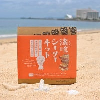 ぎゃらりーゆしびん 漆喰シーサーキット〔約800g×2〕