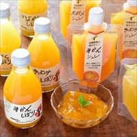 和歌山有田 伊藤農園 100%ピュアジュース ジュレドリンク 〔ジュース3種各180ml 計4本、寒天ジュレ3種各150g 計4個〕 ゼリー