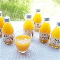 和歌山有田 伊藤農園 100％ピュアジュース 詰め合わせギフト 〔みかん・きよみ・不知火・はっさく・あまなつ 計10本〕 フルーツジュース