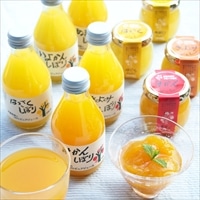 和歌山有田 伊藤農園 100%ピュアジュース 寒天ジュレ 〔ジュース5種各180ml、寒天ジュレ4種各90g〕 ジュース ゼリー