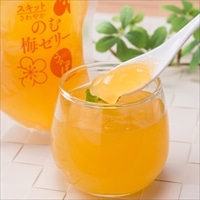 うめっぽ スキットさわやか うめっぽ飲む梅ゼリーセット〔150g×12〕