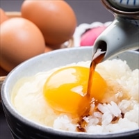 琴の海いやしの会 つくもの里 新鮮たまご 長崎彩黄卵 朝採れ玉子 8個入り 6パックセット〔500g×6〕