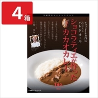 パレドオール ショコラティエが作ったカカオカレー〔180g×4〕レトルトカレー【北海道・沖縄県・離島 配送不可】
