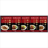松阪牛・近江牛・飛騨牛仕込み ハンバーグとカレー詰合せ HBK-35 〔ハンバーグ2種、カレー2種 全4種計5個〕 惣菜 レトルト 飛騨高山ファクトリー