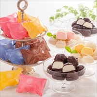 銀座京橋 レ ロジェ エギュスキロール ショコラアイスボール〔バニラ・クランチ・ストロベリー・マンゴー〕一口アイス 個包装【沖縄県・離島 配送不可】