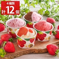 博多あまおうのこだわりアイス ギフトセット〔あまおう&ショコラ ほか全4種計12個〕アイスクリーム【沖縄県・離島 配送不可】