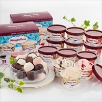 ハーゲンダッツ アソート ショコラアイスボール 詰め合わせ〔ハーゲンダッツ、ショコラアイス 各3種〕一口アイス 個包装【沖縄県・離島 配送不可】