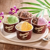 ハワイアンホースト マカダミアナッツアイス ギフトセット〔マカダミアミルクチョコ ほか全4種計8個〕アイスクリーム【沖縄県・離島 配送不可】