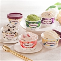 ハーゲンダッツ アイスクリーム 食べ比べセット〔ラバーズ(3種入)・クラシック(3種入)〕アイスクリーム【沖縄県・離島 配送不可】