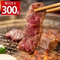 肉の名門ヤマシゲ 牛ハラミ 焼肉タレ漬け 〔300g〕牛肉 たれ漬 冷凍