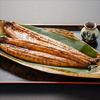 宮崎・鹿児島産 うなぎ蒲焼 特大 2尾セット 〔うなぎ181g×2、たれ・さんしょう・粉末お吸い物〕 うなぎ 国産