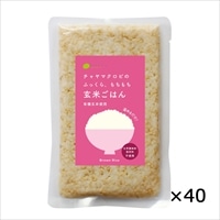 ケース 玄米ごはん プレーン レトルトご飯 40個 〔160g×40〕 東京都 無添加 レトルトごはん チャヤ マクロビオティックス