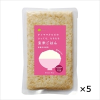 玄米ごはん プレーン レトルトご飯 5個 〔160g×5〕 東京都 無添加 レトルトごはん チャヤ マクロビオティックス