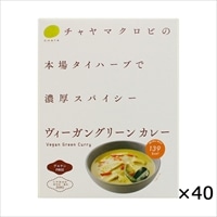 ケース ヴィーガングリーンカレー 本場タイハーブで濃厚スパイシー 40個 〔180g×40〕 無添加 グルテンフリー レトルトカレー