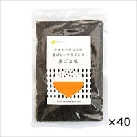 ケース 黒ごま塩 香ばしいすりごま 40個 〔100g×40〕 東京都 無添加 黒胡麻 チャヤ マクロビオティックス