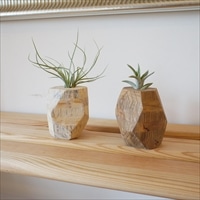 木製花瓶 白・茶 セット 〔7.3×7.3×高さ9cm、エアープランツ付き〕 花瓶 インテリア雑貨