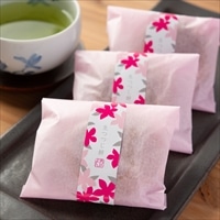 生つつじ餅 〔10個入〕 佐賀 和菓子 饅頭 あびによん