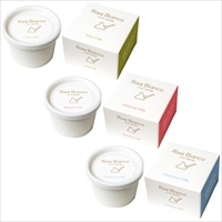 ヴィーガン アイスクリーム セット 〔ソイミルク・アーモンドミルク・ココナッツミルク各100ml×計8〕 長野 レアビアンコ・リッティーズ