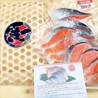 贈答用 築地の目利きシリーズ 天然鮭 プレミアム 〔時鮭×12〕 鮭 冷凍 東京 築地 鮭の店 昭和食品