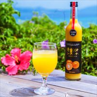 大宜味村産シークワーサー 飲みくらべセット 〔青切500ml・黄金500ml〕無添加 ジュース 沖縄県 やえやまファーム
