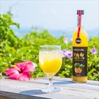 贅熟 石垣島産パインアップルジュース100％ 2本 セット 〔500ml×2〕 パインジュース 飲料 沖縄 やえやまファーム