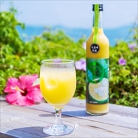 沖縄大宜味村産 青切シークワーサージュース100％ 2本 セット 〔500ml×2〕 シークワーサージュース 飲料 沖縄 やえやまファーム