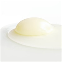 米っ娘たまご 20個 〔20個入〕 卵 常温 愛媛 イヨエッグ