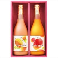 ギフト2本セット 〔グァバ・マンゴードリンク各720ml〕 ジュース 宮崎 宮崎果汁