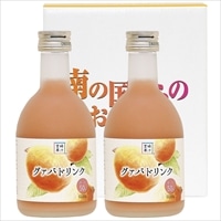 グァバドリンク 300ml×2本セット 〔300ml×2〕 ジュース 宮崎 宮崎果汁