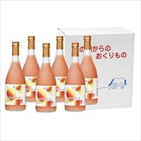 グァバドリンク 720ml×6本セット 〔720ml×6〕 ジュース 宮崎 宮崎果汁