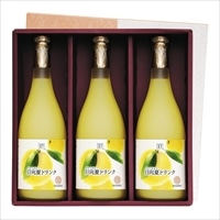 日向夏ドリンク 720ml×3本セット 〔720ml×3〕 ジュース 宮崎 宮崎果汁