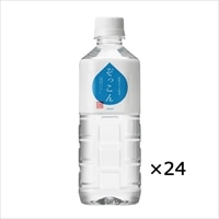 四国カルスト天然水 ぞっこん 500ml 〔500ml×24〕 水 ミネラルウォーター 愛媛 ぞっこん四国