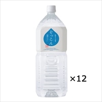 四国カルスト天然水 ぞっこん 2L 2ケース 〔2L×12〕 水 ミネラルウォーター 愛媛 ぞっこん四国